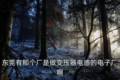 東莞國豪電子有限公司，東莞市東坑鎮小塘工業區有沒一個叫佳輝的電子公司