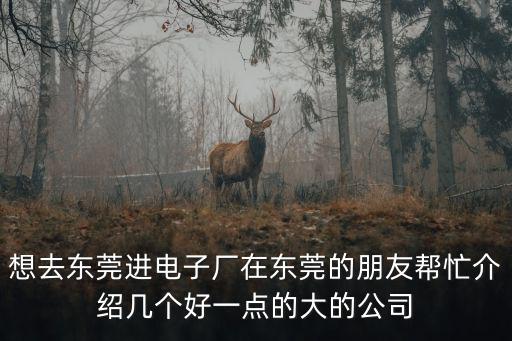 東莞迪浩電子，想去東莞進(jìn)電子廠在東莞的朋友幫忙介紹幾個(gè)好一點(diǎn)的大的公司