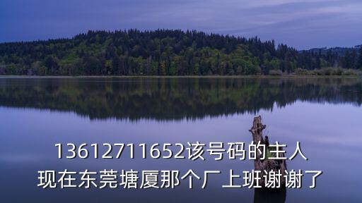 13612711652該號碼的主人現在東莞塘廈那個廠上班謝謝了