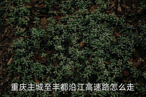 重慶主城至豐都沿江高速路怎么走