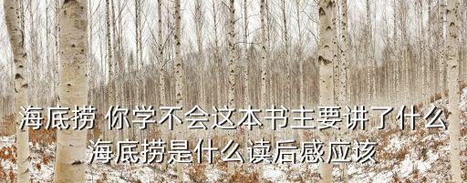 在武昌深圳珠海上海等地的談話讀后感，海底撈 你學不會這本書主要講了什么海底撈是什么讀后感應該