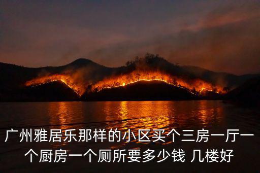 廣州雅居樂(lè)那樣的小區(qū)買個(gè)三房一廳一個(gè)廚房一個(gè)廁所要多少錢 幾樓好