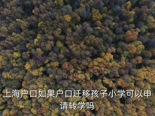 上海市對口小學轉學流程，上海戶口如果戶口遷移孩子小學可以申請轉學嗎