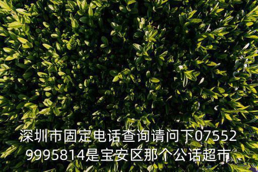 深圳市固定電話查詢請問下075529995814是寶安區(qū)那個公話超市