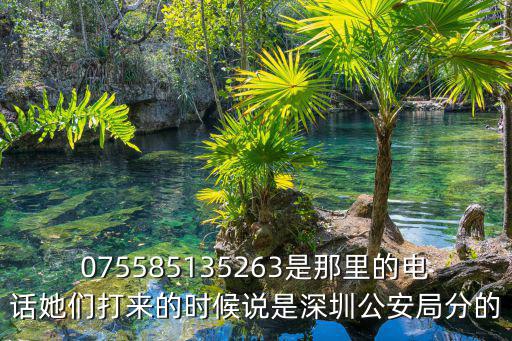 075585135263是那里的電話她們打來的時候說是深圳公安局分的