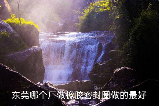 東莞哪個廠做橡膠密封圈做的最好
