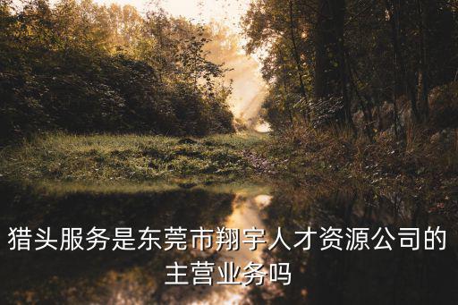 東莞德飲酒業，獵頭服務是東莞市翔宇人才資源公司的主營業務嗎