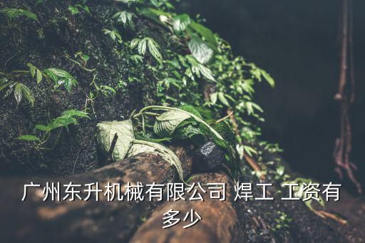 廣州市東升機械有限公司，廣州市經濟技術開發區永和經濟區九嶺路8號是什么公司