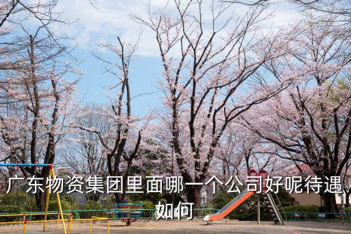 廣東物資集團(tuán)廣州開(kāi)發(fā)區(qū)公司，廣東物資總公司在哪里