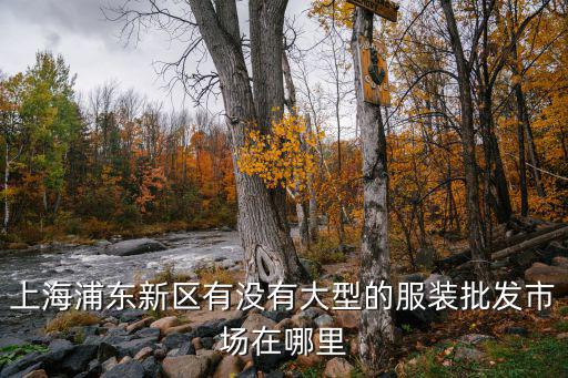 上海浦東新區有沒有大型的服裝批發市場在哪里