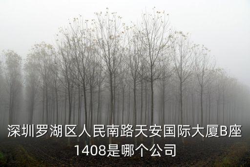 深圳羅湖區(qū)人民南路天安國際大廈B座1408是哪個(gè)公司