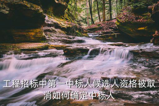 工程招標中第一中標人候選人資格被取消如何確定中標人