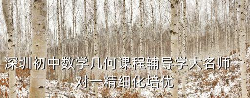 深圳初中數(shù)學(xué)幾何課程輔導(dǎo)學(xué)大名師一對(duì)一精細(xì)化培優(yōu)