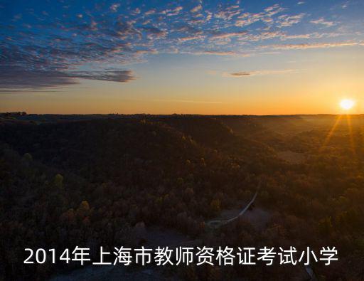 2014年上海市教師資格證考試小學(xué)