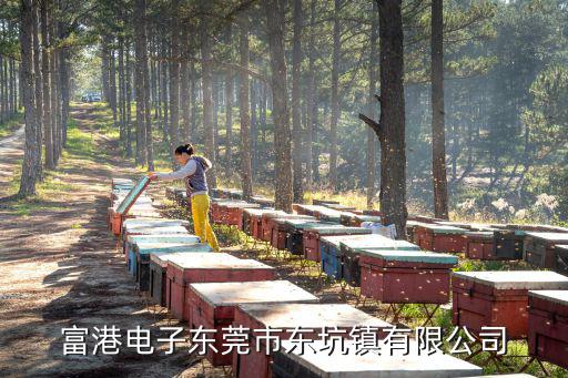 富港電子東莞市東坑鎮有限公司
