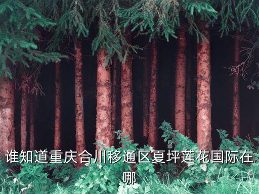 誰知道重慶合川移通區夏坪蓮花國際在哪
