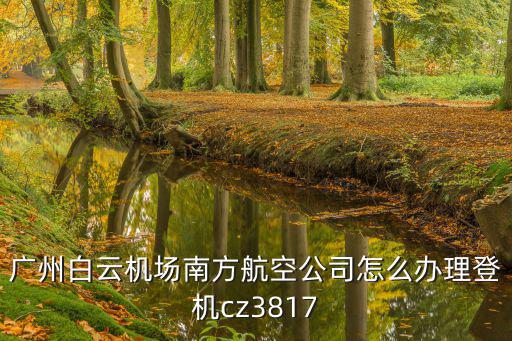 廣州白云機場南方航空公司怎么辦理登機cz3817