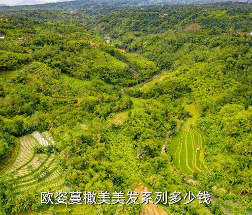歐姿蔓橄美美發(fā)系列多少錢