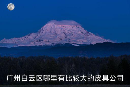 廣州白云區哪里有比較大的皮具公司