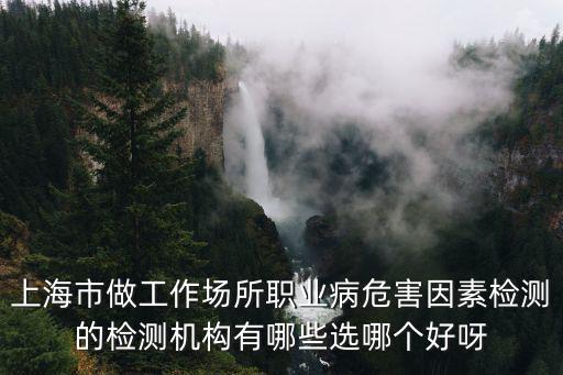 上海市做工作場所職業病危害因素檢測的檢測機構有哪些選哪個好呀