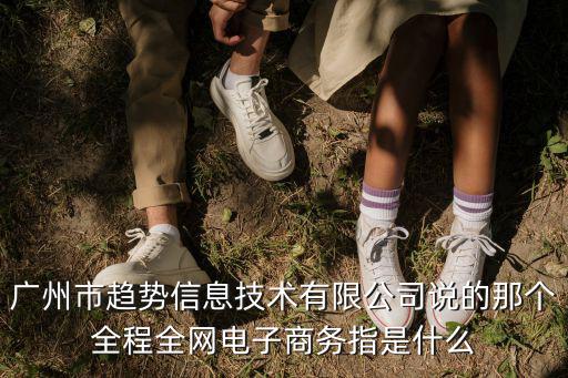 廣州市趨勢信息技術有限公司說的那個全程全網電子商務指是什么