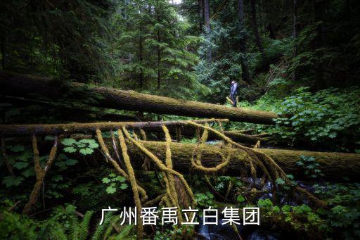 廣州番禺新造鎮立白集團有限公司電話，廣州番禹立白集團