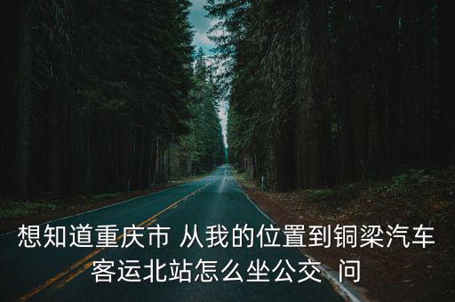 想知道重慶市 從我的位置到銅梁汽車客運(yùn)北站怎么坐公交  問