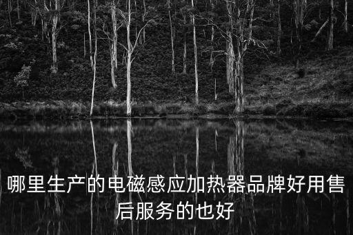 哪里生產的電磁感應加熱器品牌好用售后服務的也好