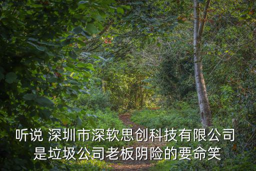 聽說 深圳市深軟思創科技有限公司 是垃圾公司老板陰險的要命笑