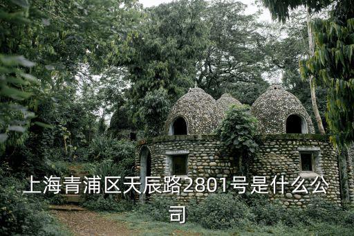 上海青浦區天辰路2801號是什么公司
