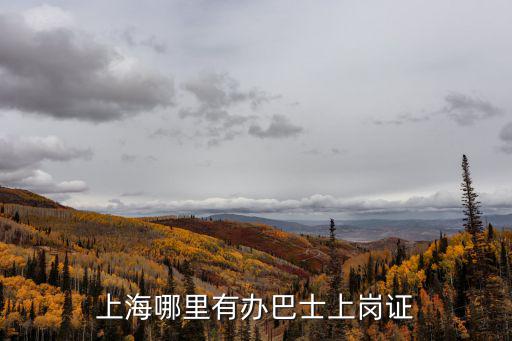 上海市建設(shè)交通人才考試網(wǎng)，上海浦東川沙合慶這的人才網(wǎng)的網(wǎng)址是什么
