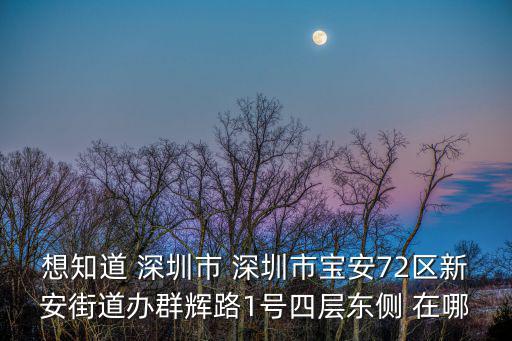 想知道 深圳市 深圳市寶安72區(qū)新安街道辦群輝路1號(hào)四層?xùn)|側(cè) 在哪