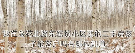 我在金花北路東窯坊小區買的二手房孩子能落戶嗎有哪位知道
