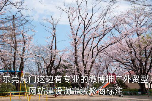 東莞虎門這邊有專業的微博推廣外貿型網站建設淘寶裝修商標注