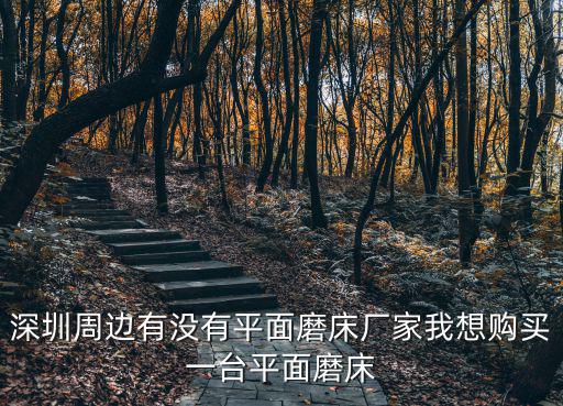 深圳市臺研磨具有限公司，深圳哪家研磨公司最出名