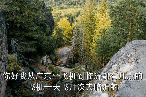 你好我從廣東坐飛機到臨沂都有幾點的飛機一天飛幾次去臨沂的