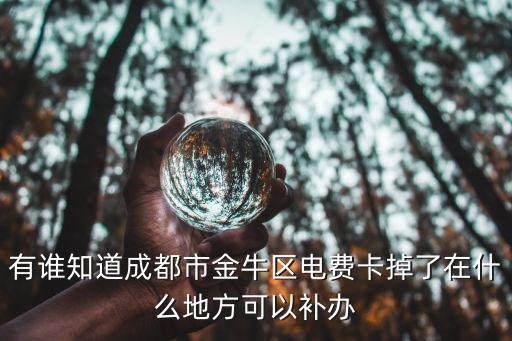 成都市電卡補辦時間，有誰知道成都市金牛區電費卡掉了在什么地方可以補辦