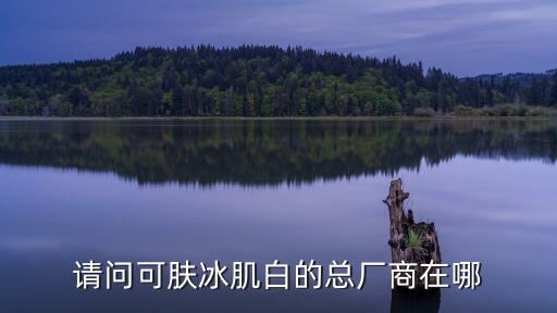 請問可膚冰肌白的總廠商在哪
