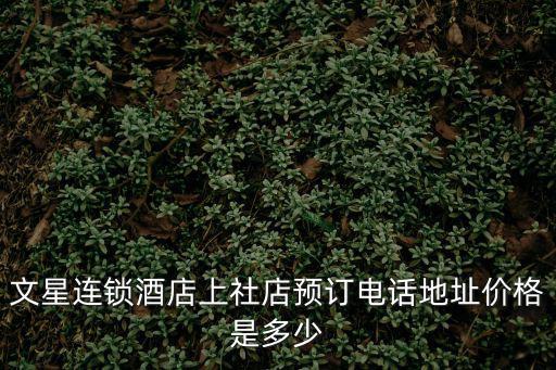 文星連鎖酒店上社店預訂電話地址價格是多少