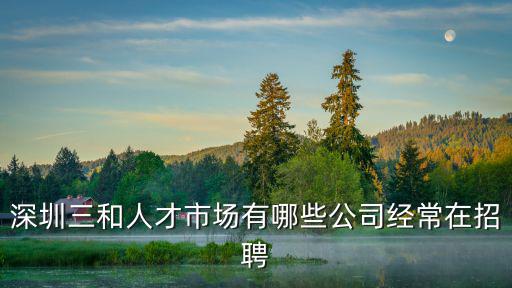 深圳三和人才市場(chǎng)有哪些公司經(jīng)常在招聘