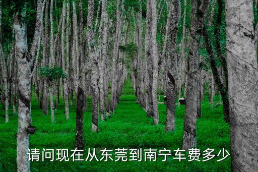 請問現在從東莞到南寧車費多少