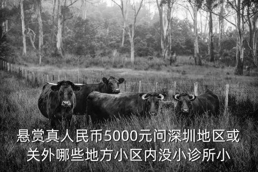 深圳愜意小廚，房子很小在深圳這寸土寸金的地方只有60多平米怎么無(wú)毒裝修好