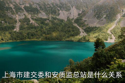 上海市建設委員會沈宏簡歷，上海市建委的第81號文