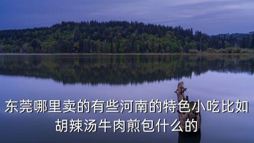 東莞哪里賣的有些河南的特色小吃比如胡辣湯牛肉煎包什么的