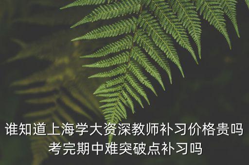 誰知道上海學大資深教師補習價格貴嗎 考完期中難突破點補習嗎