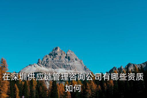 在深圳供應(yīng)鏈管理咨詢公司有哪些資質(zhì)如何