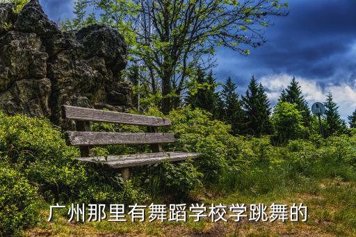 廣州世紀(jì)星舞蹈培訓(xùn)學(xué)校，廣州白云區(qū)有學(xué)舞蹈的培訓(xùn)班嗎