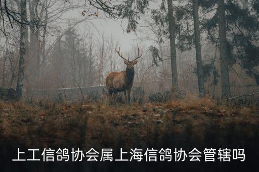 上海市信鴿協(xié)會網(wǎng)，怎么樣查詢上海信鴿足環(huán)號