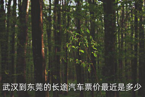 武漢到東莞的長途汽車票價最近是多少
