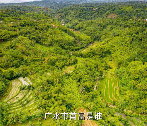 廣水市首富是誰